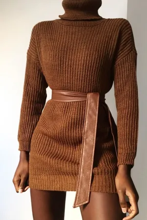 Brown Roll Neck Mini Jumper Dress - Dariyana