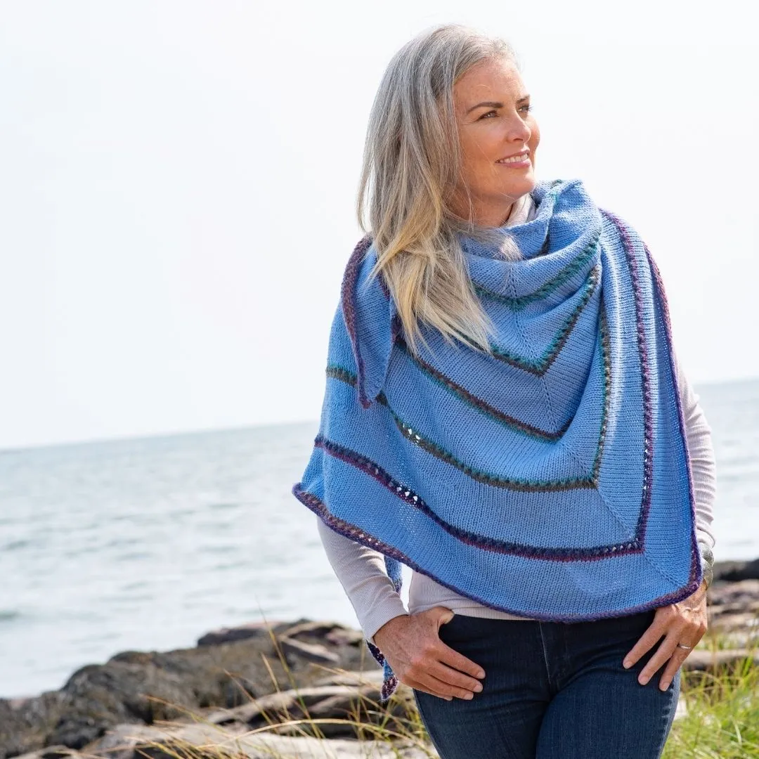 Cozy Coastal Knits (Book) Rosann Fleischauer