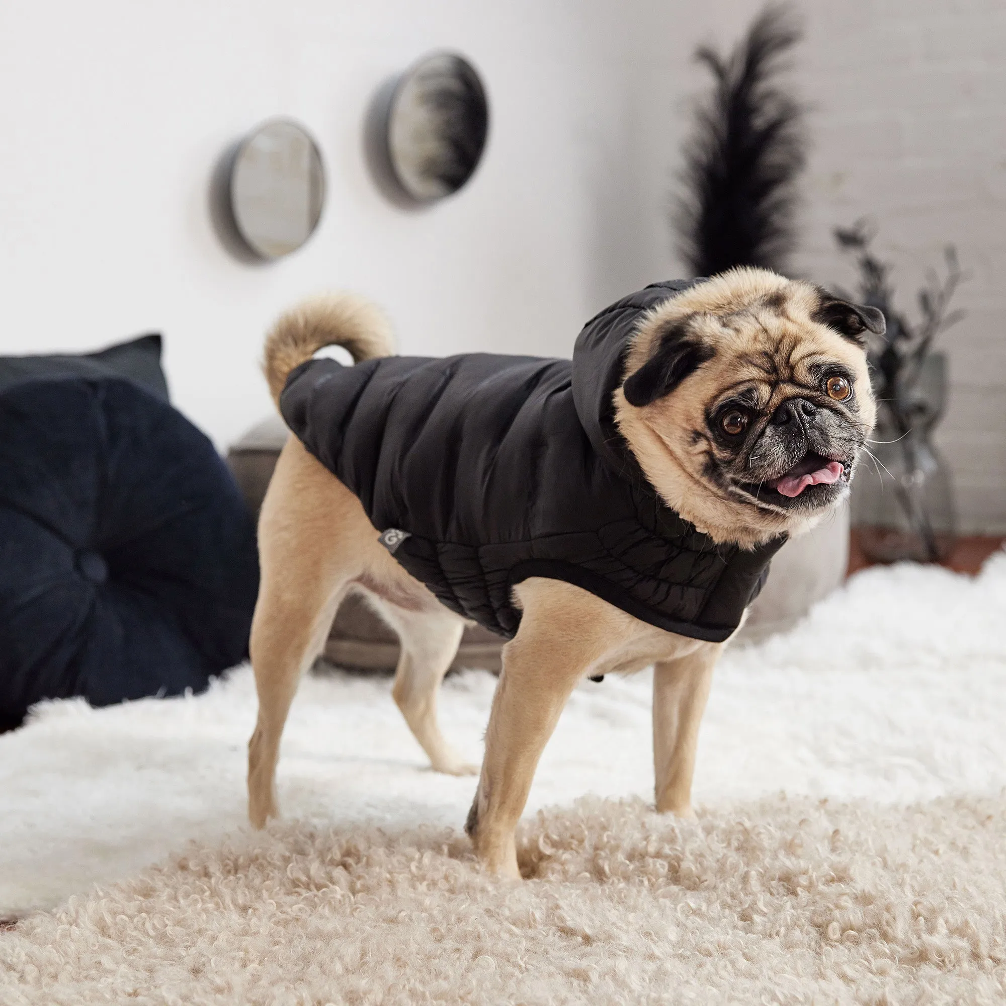 GF Pet Cloud Parka - Black for Dogs