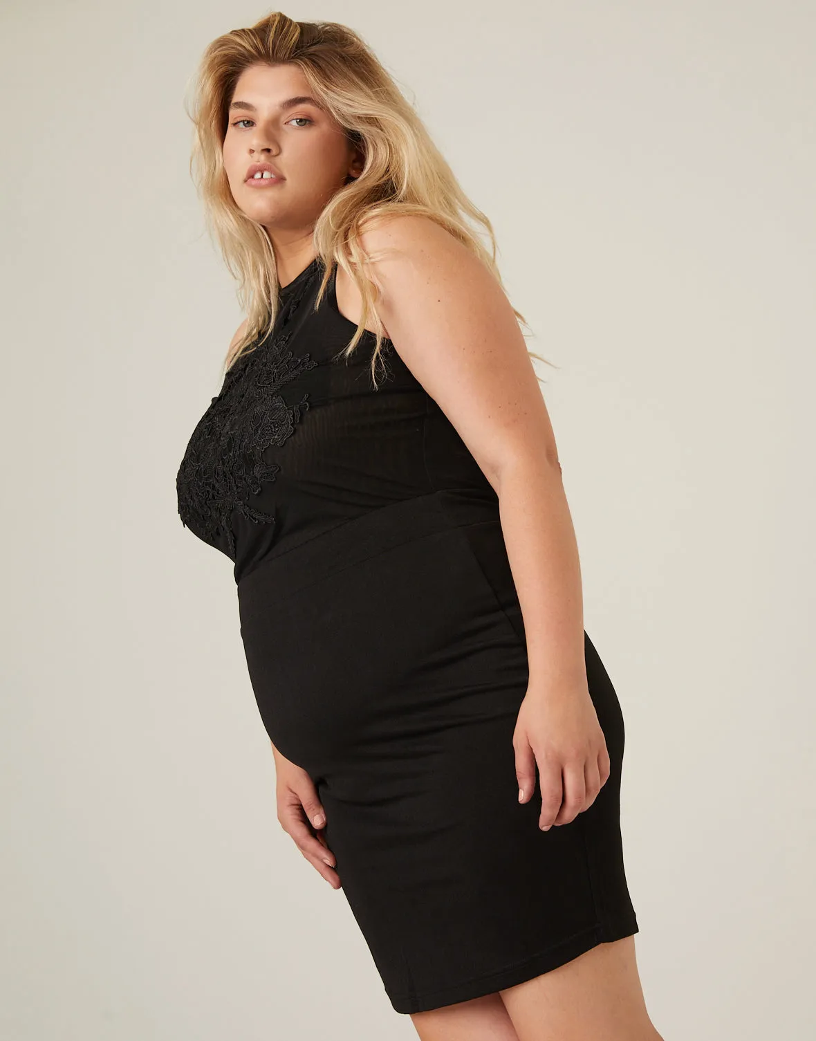 Plus Size Sheer Romance Dress