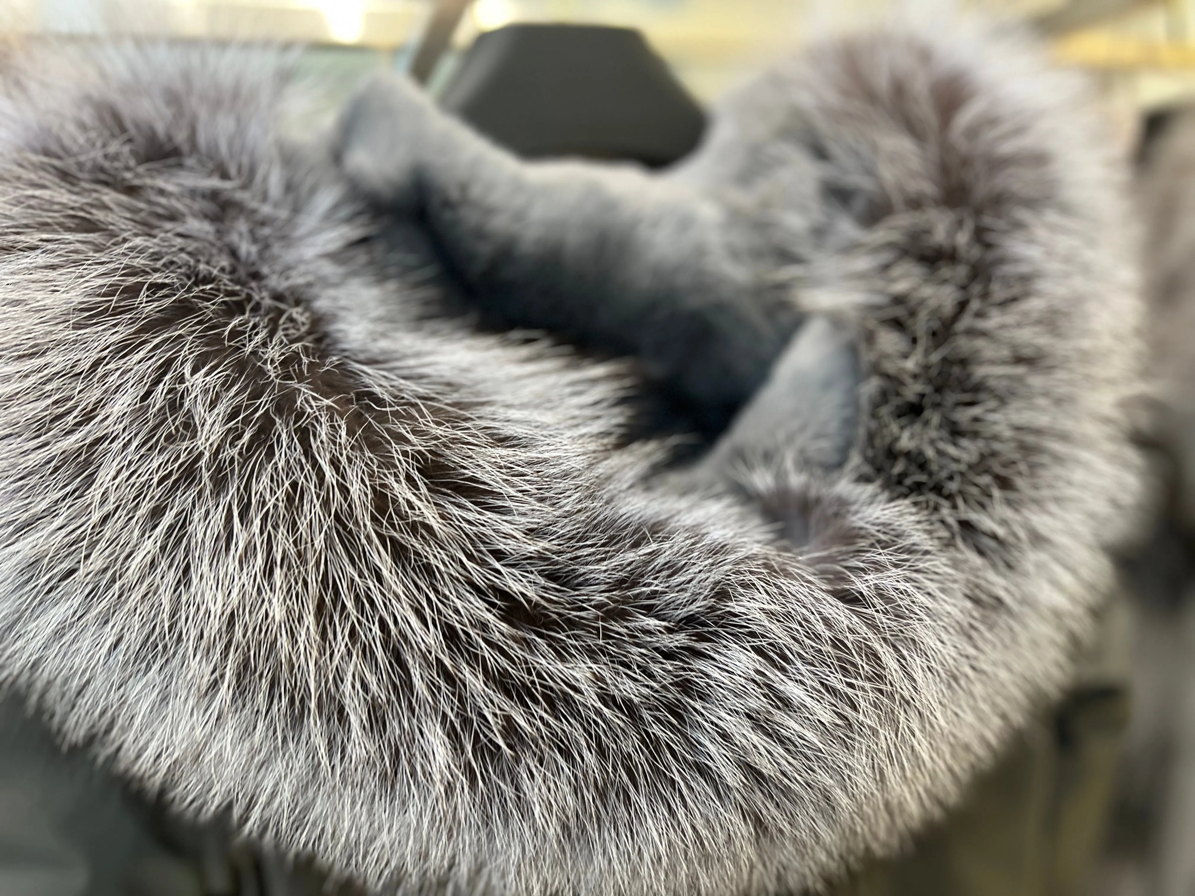 Silver Fox Fur Trim Rabbit Fur Insulated Parka