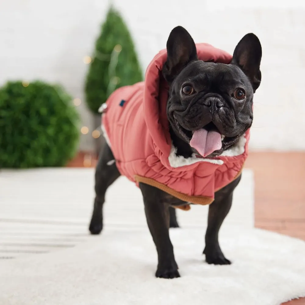 Super Puff Parka in Pink